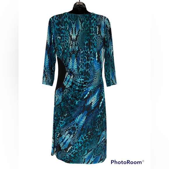 NueVa Blue Animal Print Scoop Neck Ruched Waist Lined Pullover Dress Siz… - Picture 3 of 13